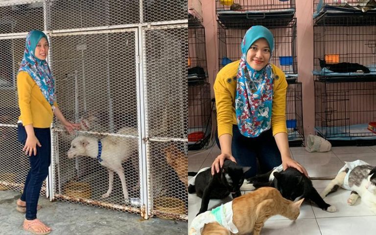 This Malay Couple Rescues And Shelters Stray Dogs In Shah Alam Astro Ulagam