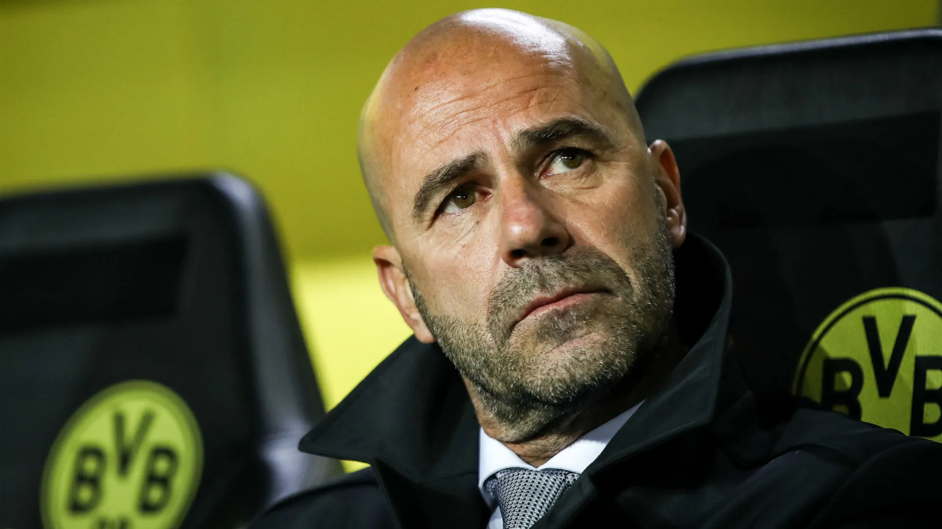 bosz-cropped_w7djcdt4nm8t1b3nkujwf6fvl.jpg