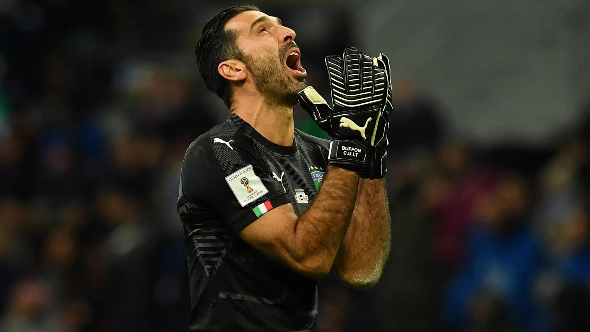 buffon_1qk1emdruf6bv1a7d5ntn4a1e4.jpg