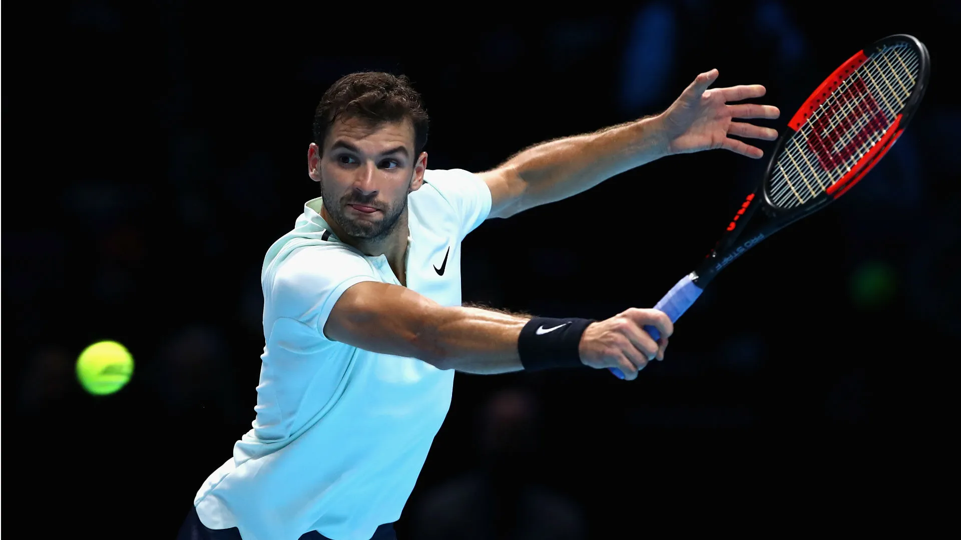 dimitrov-cropped_1aw0od9m9v4o112w4ru8jgq29s.jpg