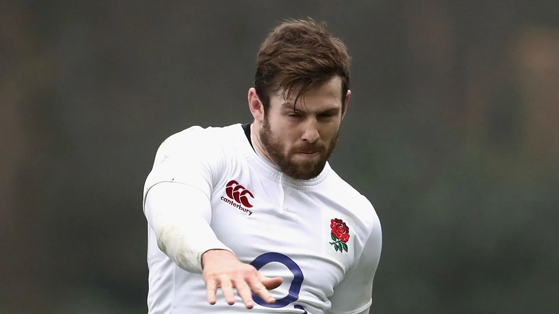 elliotdaly-cropped_11evez8mkbpgw16n1avqy1929l.jpg