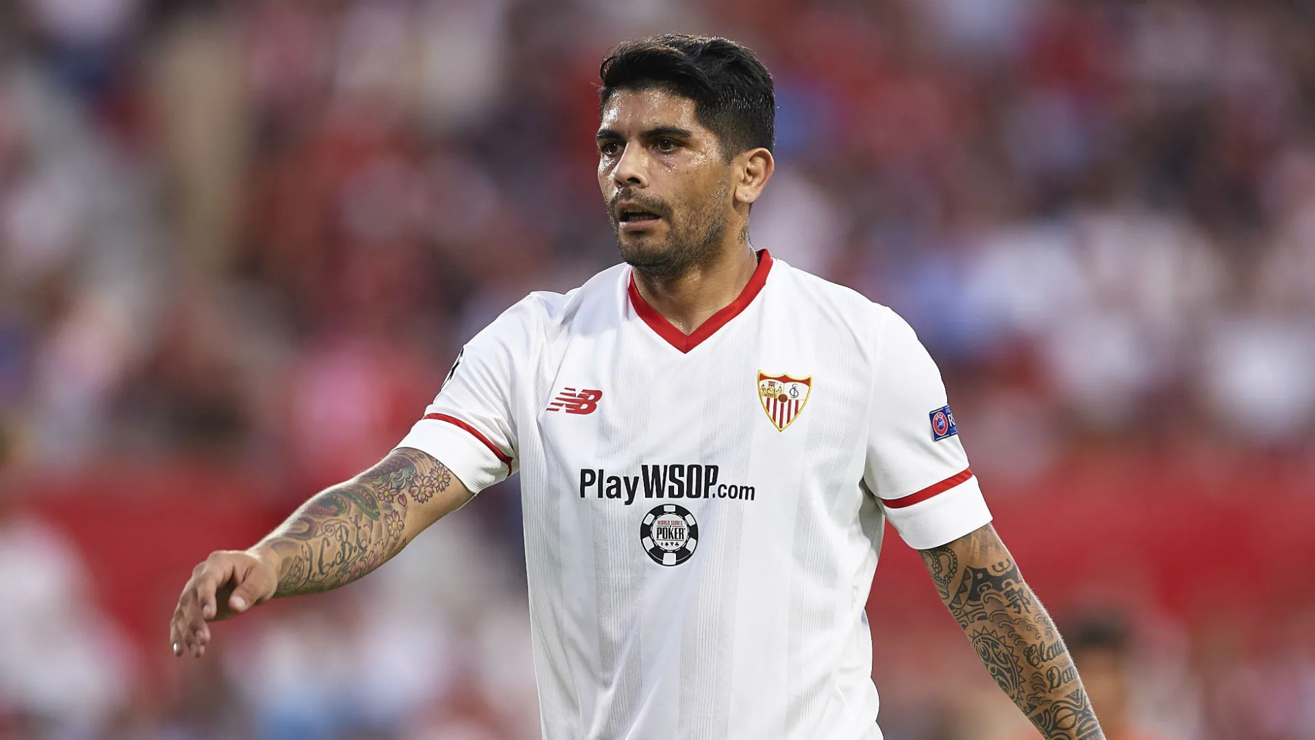 everbanega-cropped_y3zubxsitreu1n03e4q4gmp2h.jpg