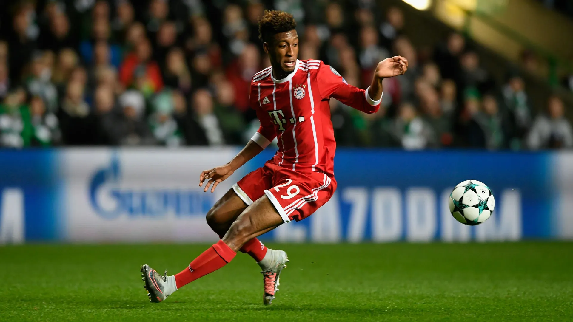 kingsleycoman-cropped_1aq0phk0pgxwb1pm8t4f4c5lzd.jpg