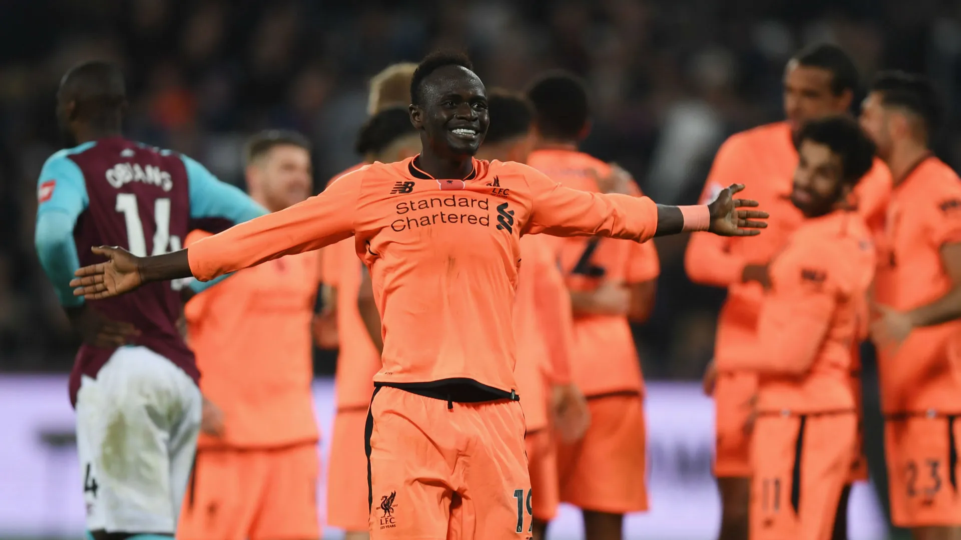 mane-cropped_1d6e1zs2jn8qf1q7fbpm3n0w2k.jpg