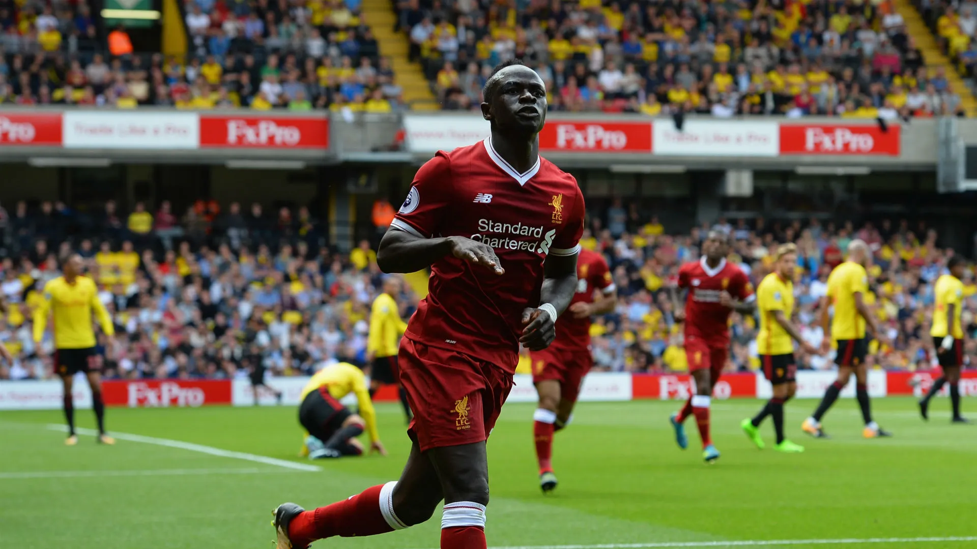 mane-cropped_1gdc6cp9uwgf31uwclz4r70ds5.jpg