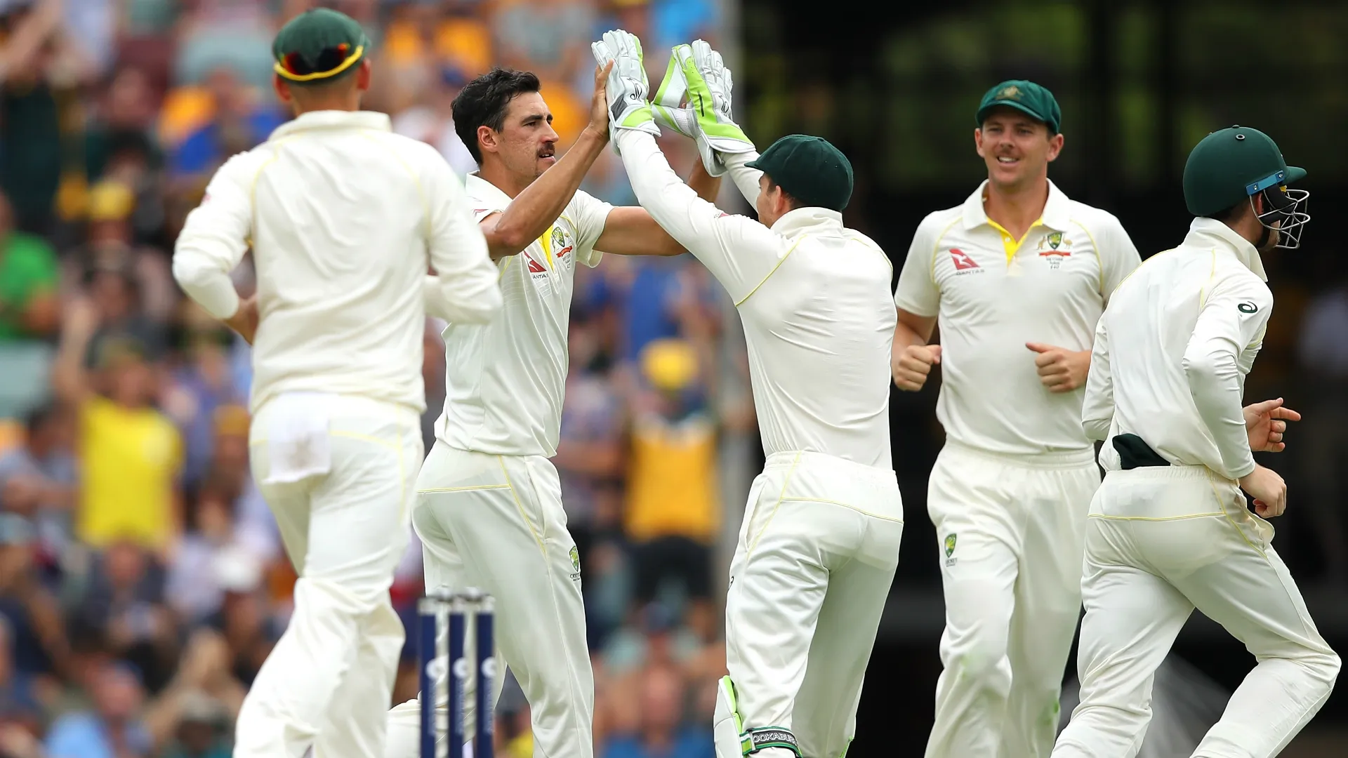 mitchellstarc-cropped_1col6bo8i70nb113jqvb4kgsrp.jpg