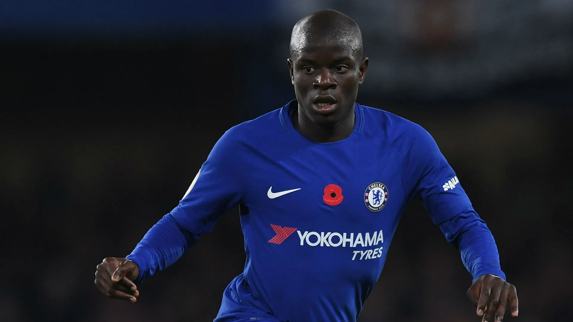 ngolokante-cropped_1u4ip2ms9msir1o32sshv6w8t5.jpg