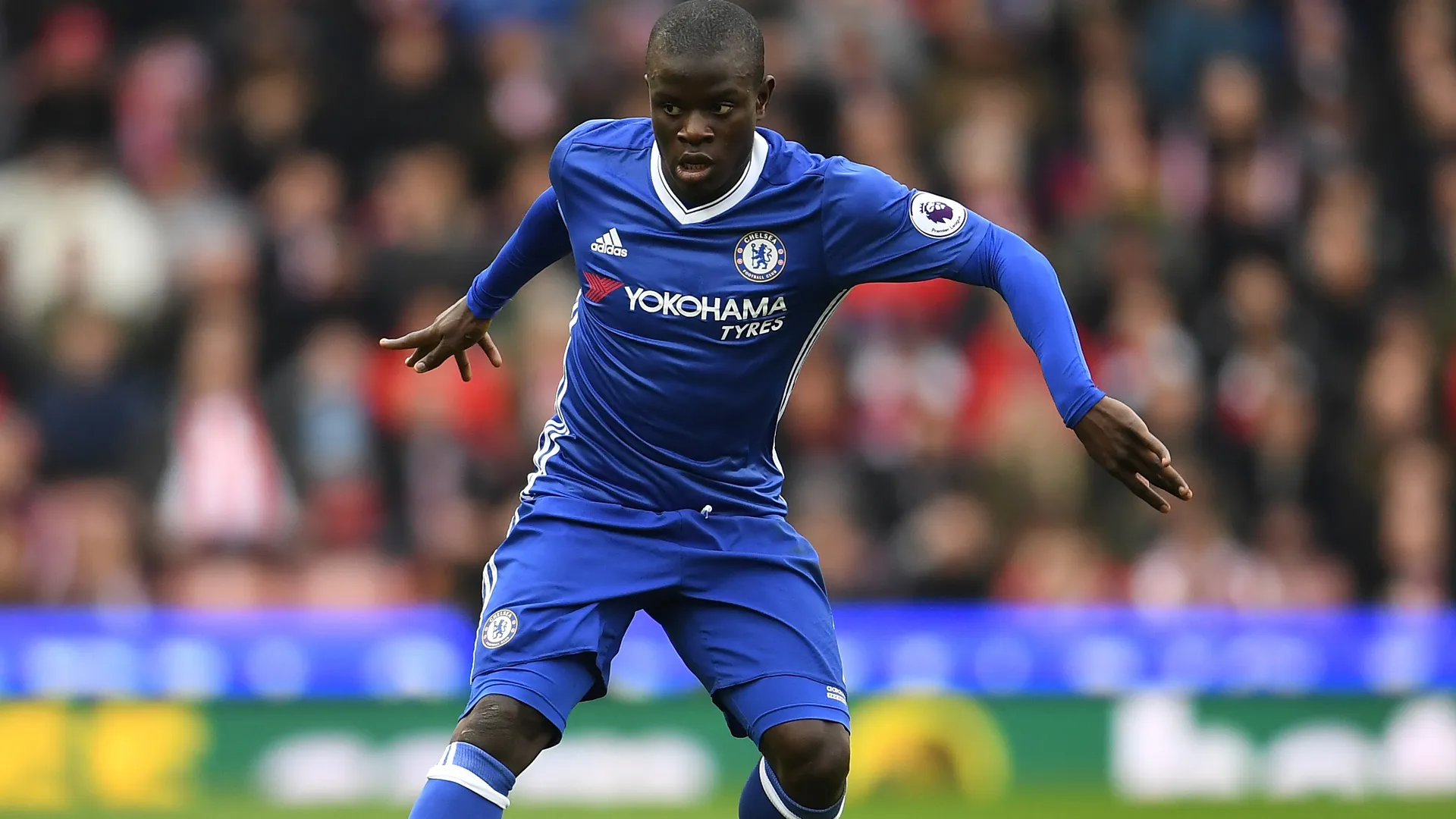 ngolokante-cropped_1ur0cpz1cxtr61kdcem2ttcdlc.jpg