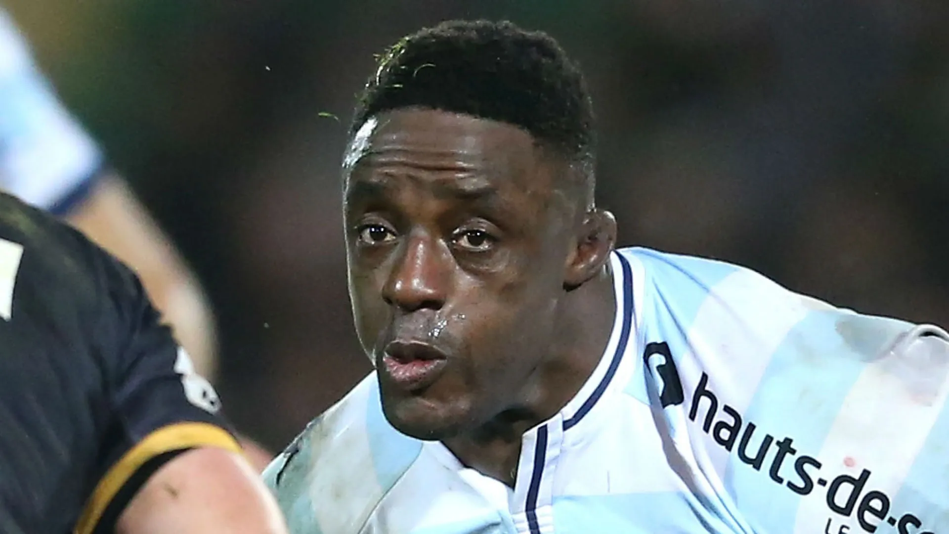 nyanga-cropped_5snpxcqu58qp11q77voi3z0s4.jpg