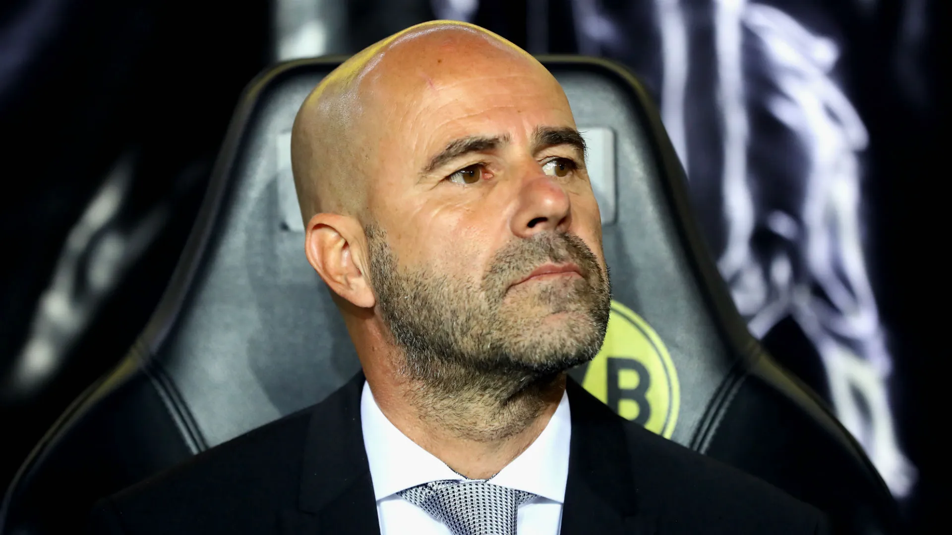 peterbosz-cropped_1got4kzn323pr166vpgz6oj3c4.jpg