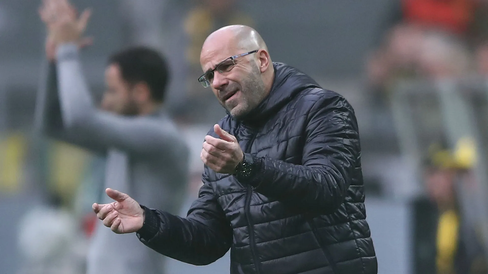 peterbosz-cropped_3s6qew5wtbxw1gxug4y45fzat.jpg