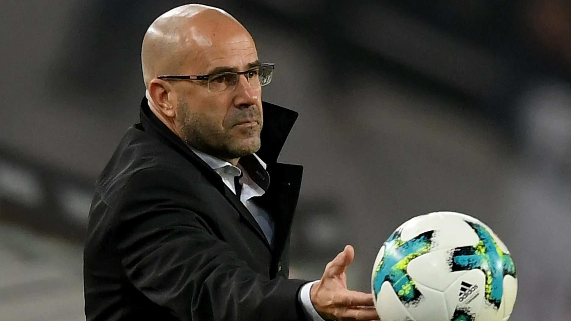peterbosz-cropped_gs5nvfn33dqx18mviowqcuxm8.jpg