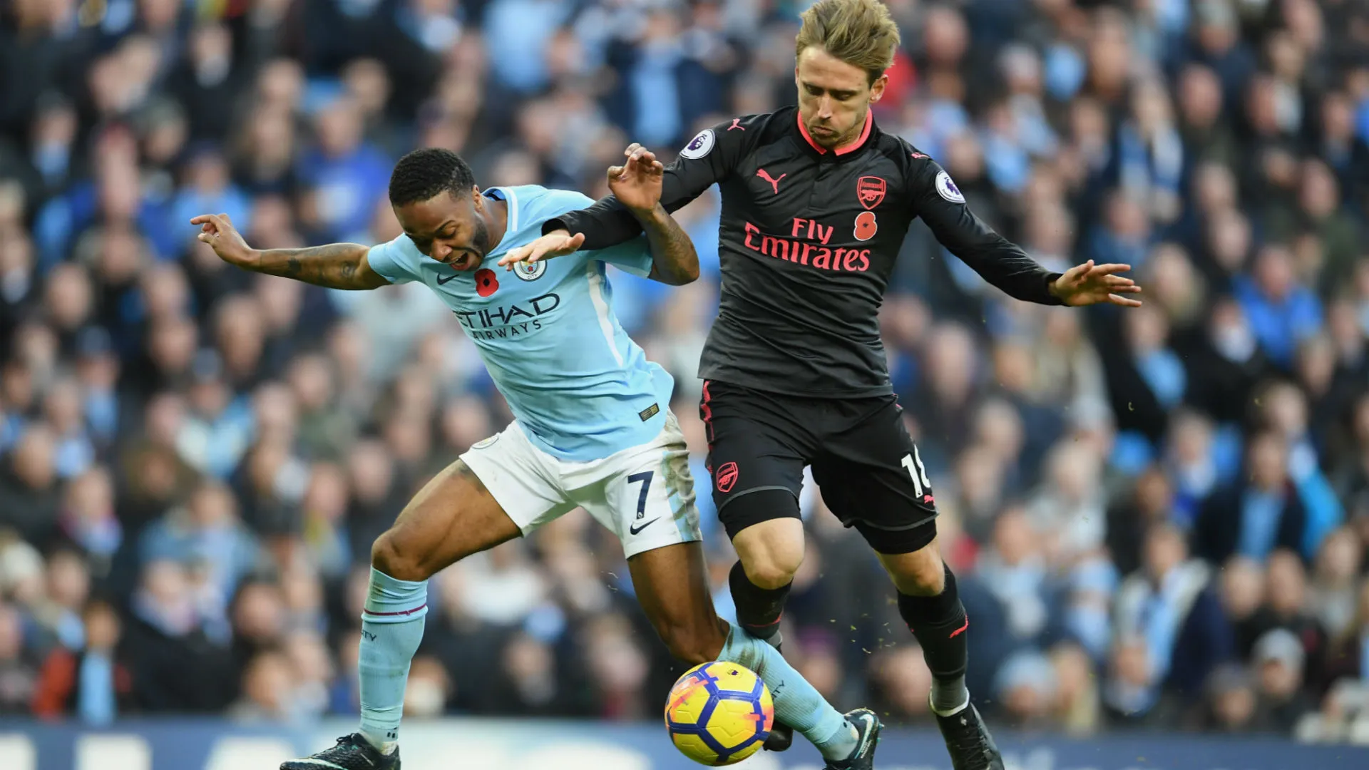 sterling-monreal-cropped_1gllt4be7lz4d1khq4pmq53kp4.jpg