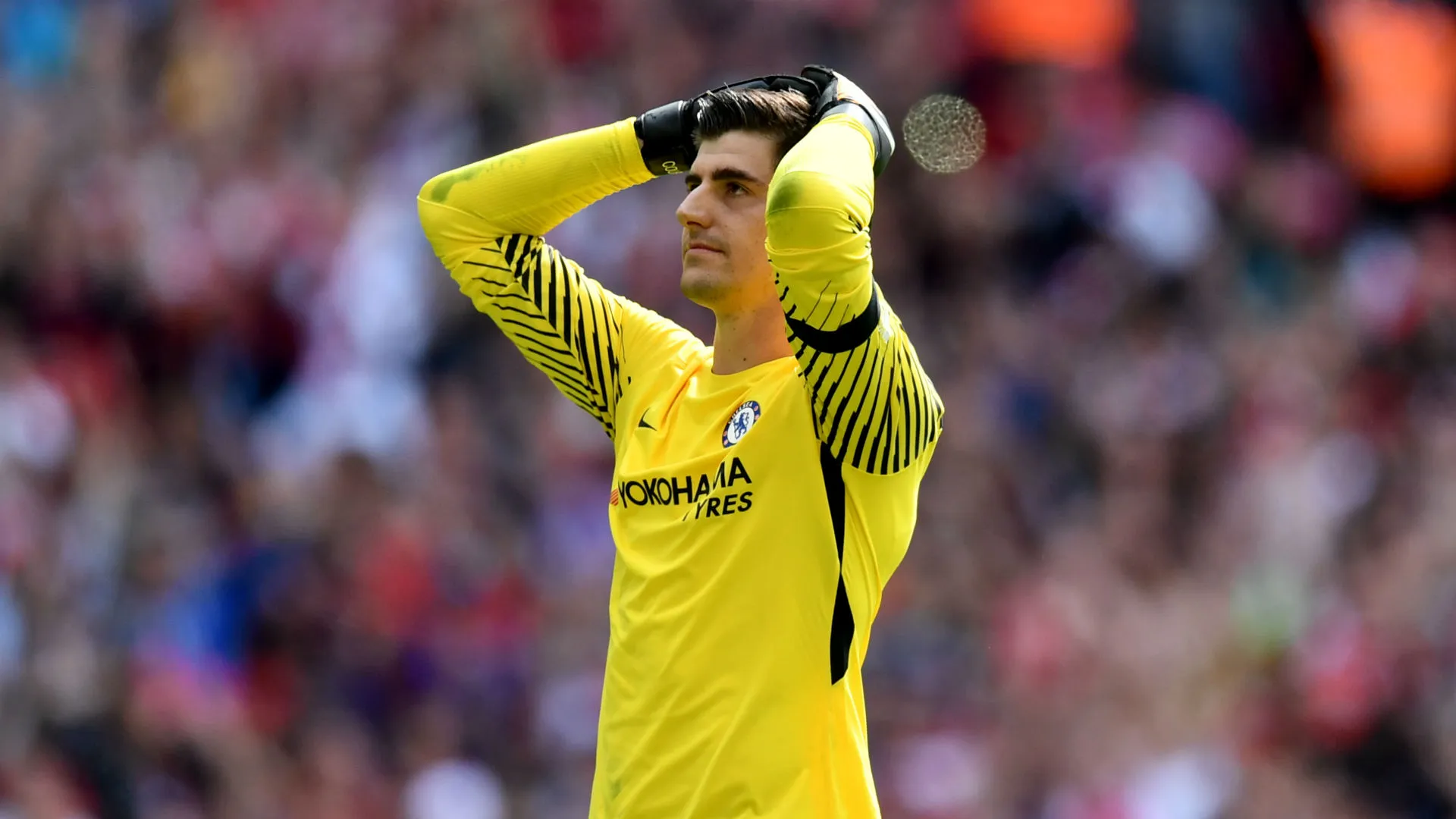 thibautcourtois-cropped_12y2cljo4wunf13l98r2j6hvs7.jpg
