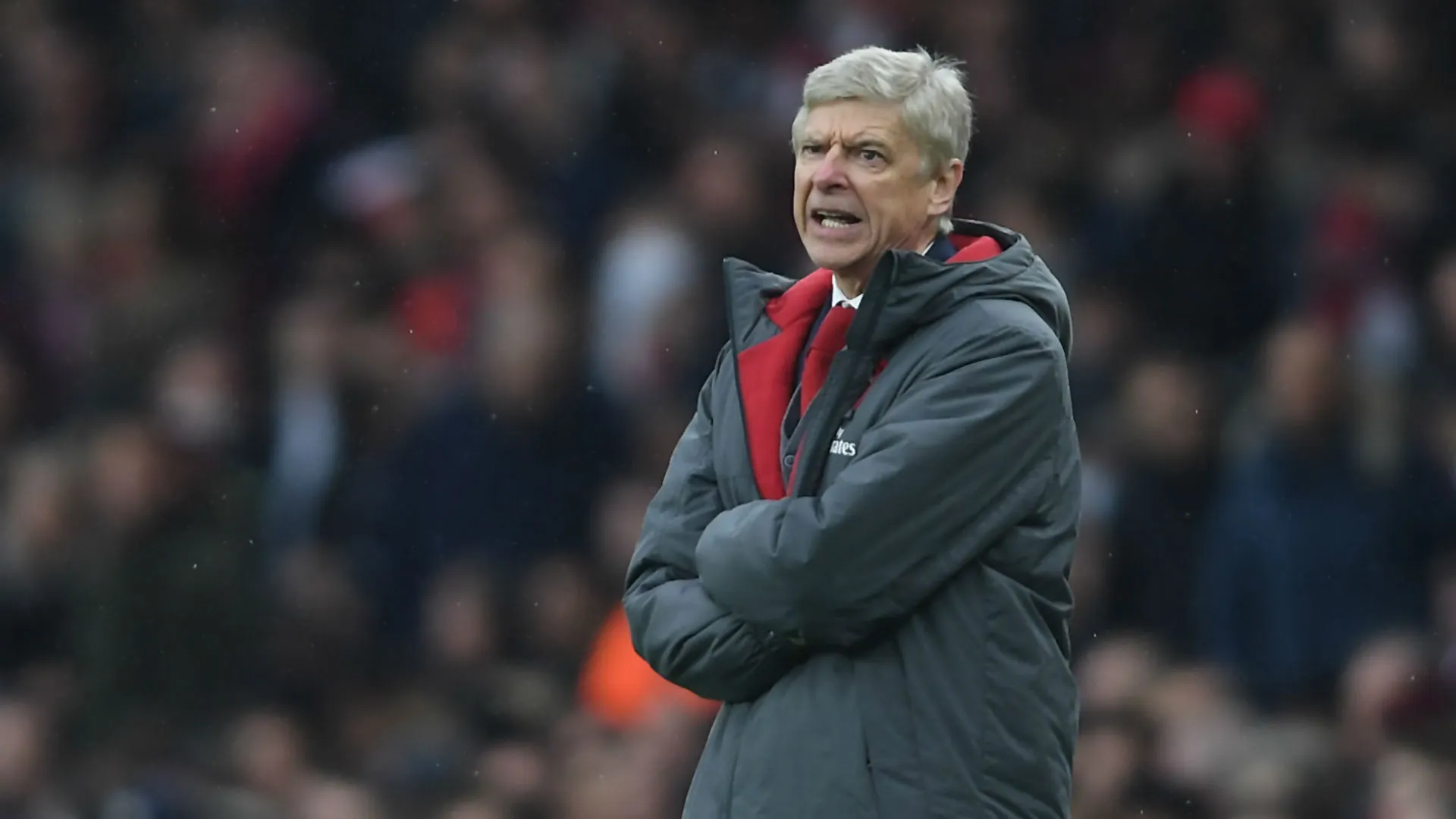 wenger-cropped_x5c186x3tbhe1fh2h9v0w6h8d.jpg