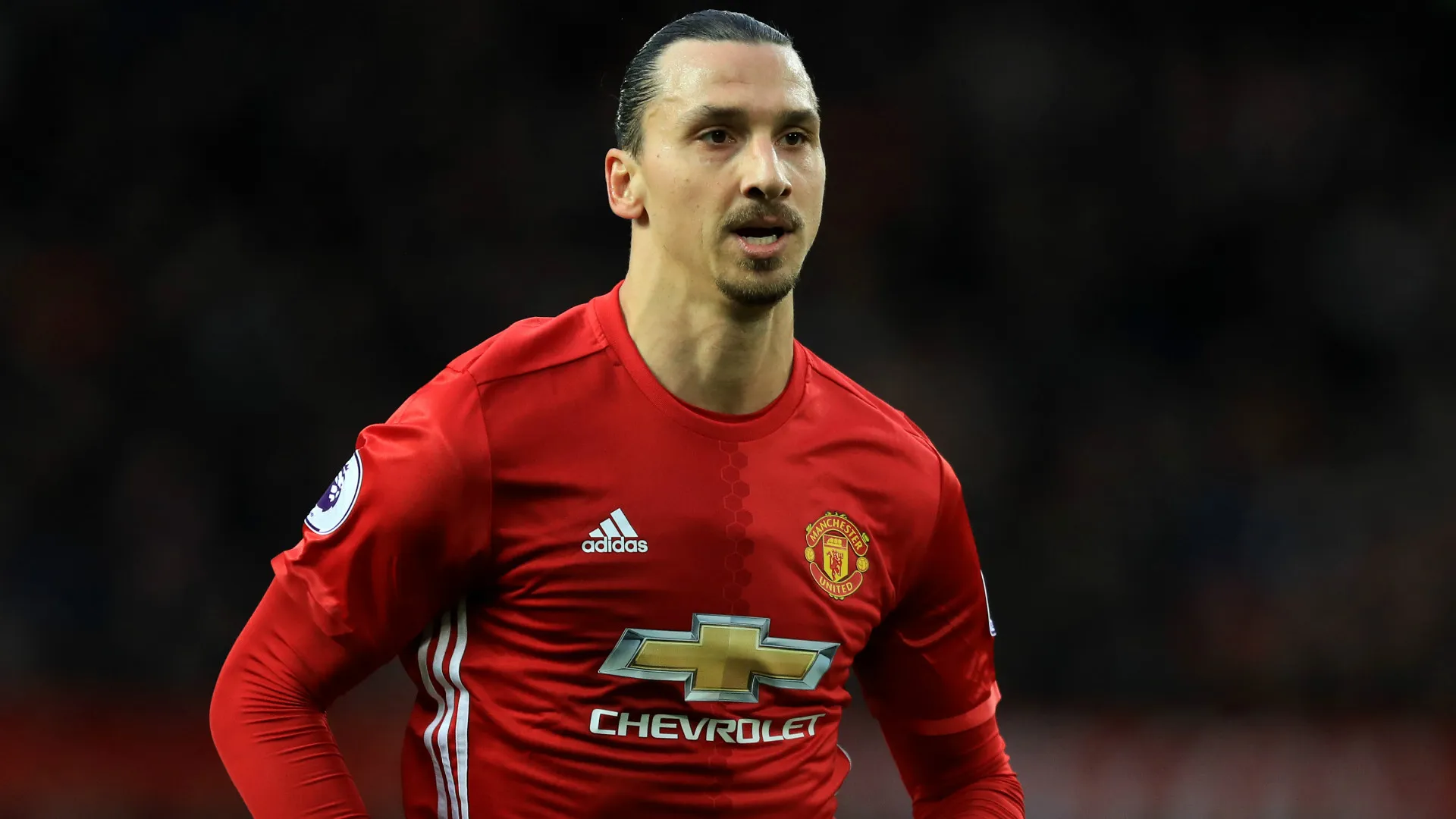 zlatan-ibrahimovic-cropped_nbmg5ydesfas1lzg3ouht62hc.jpg