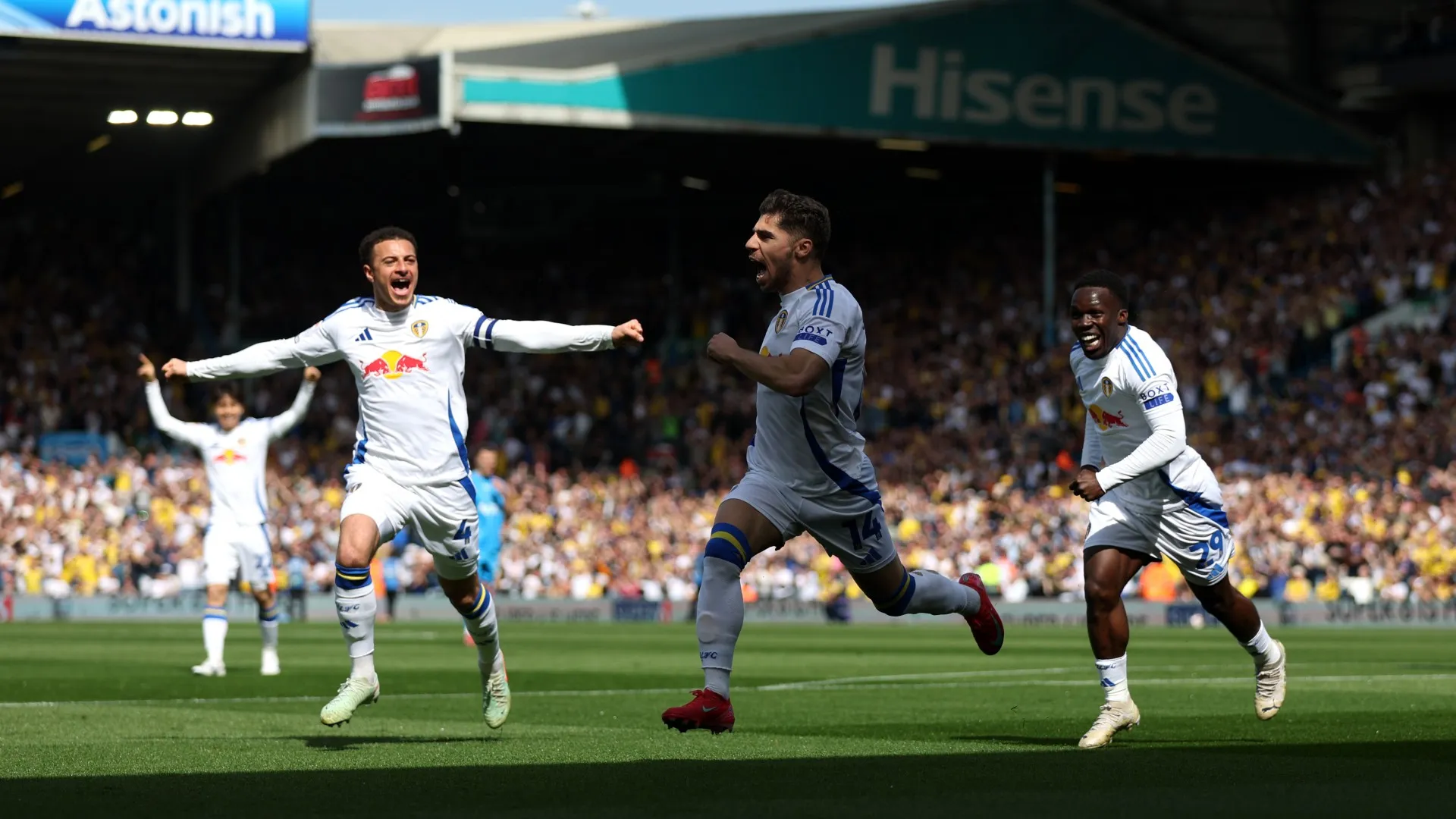 leeds-united_8zq4aujap5nm163dltk2773fx.jpg