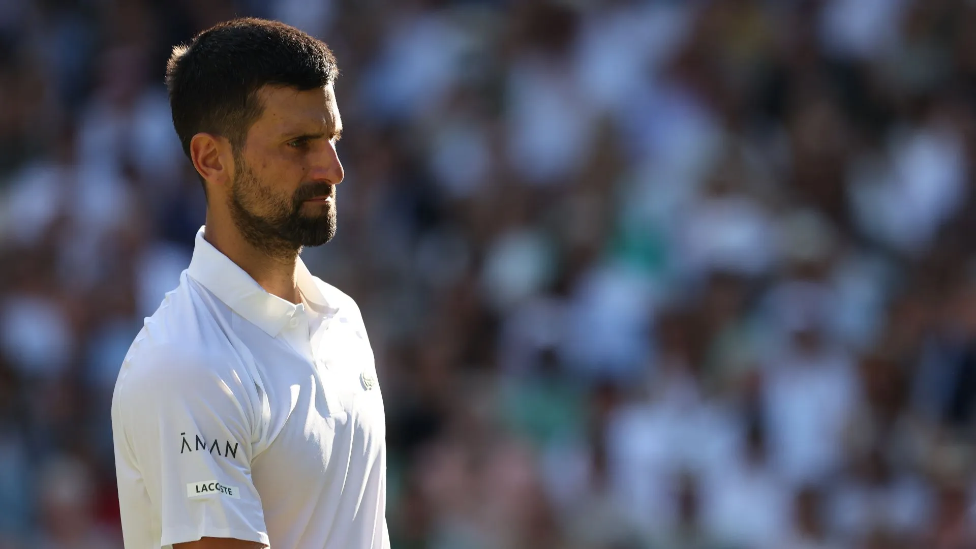 novak-djokovic_n33c0j25qtow138l7ach2vatv.jpg