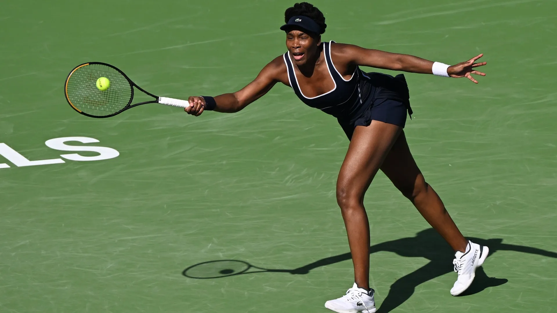venus-williams_1my7psr81a7zc142dtdapt6yy4.jpg