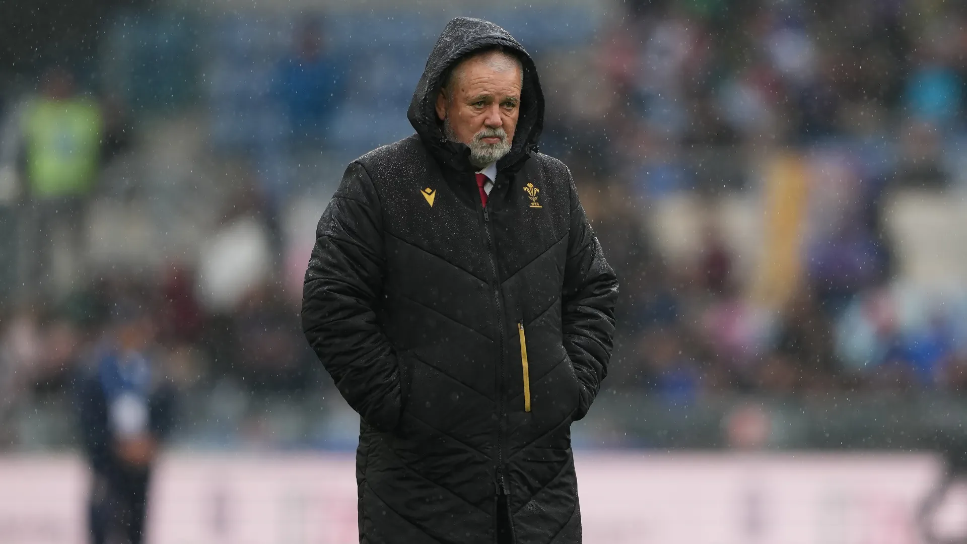 warren-gatland_1r78hymj7fv1p125ujj5fubpkg.png