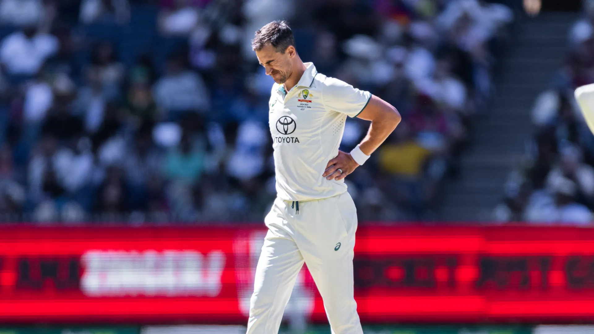 mitchell-starc_12t5w0z8g8a1016qgm8ayu9a8l.png