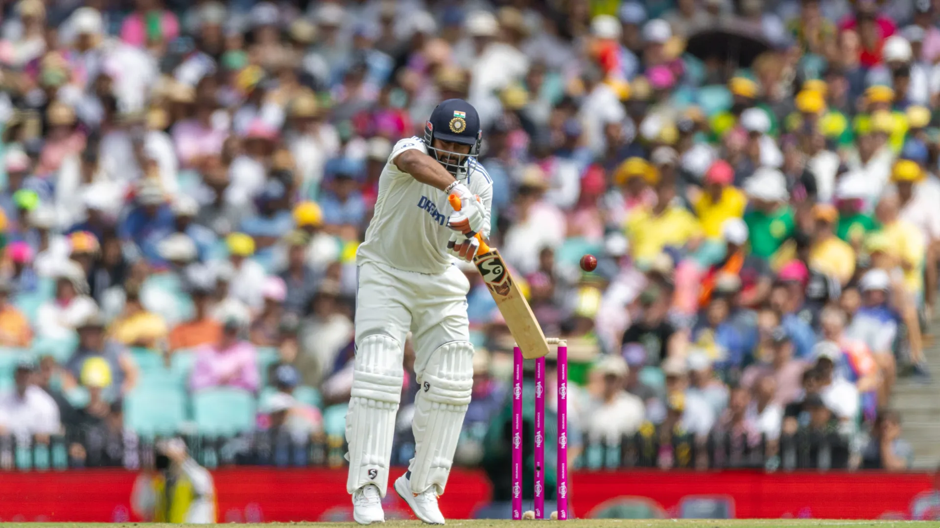 rishabh-pant_1oqxu8u6x7dhg1k03qb5usrqkt.png