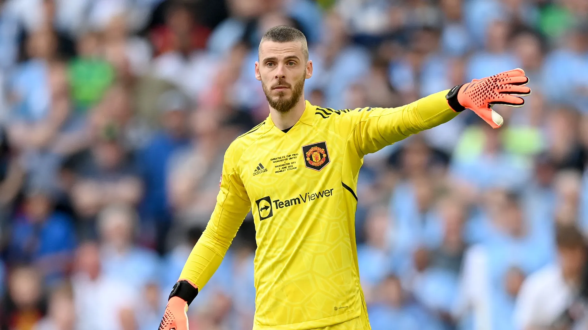 de-gea_1kkh9o8oqre2m1u2fmwebjj17n.jpg