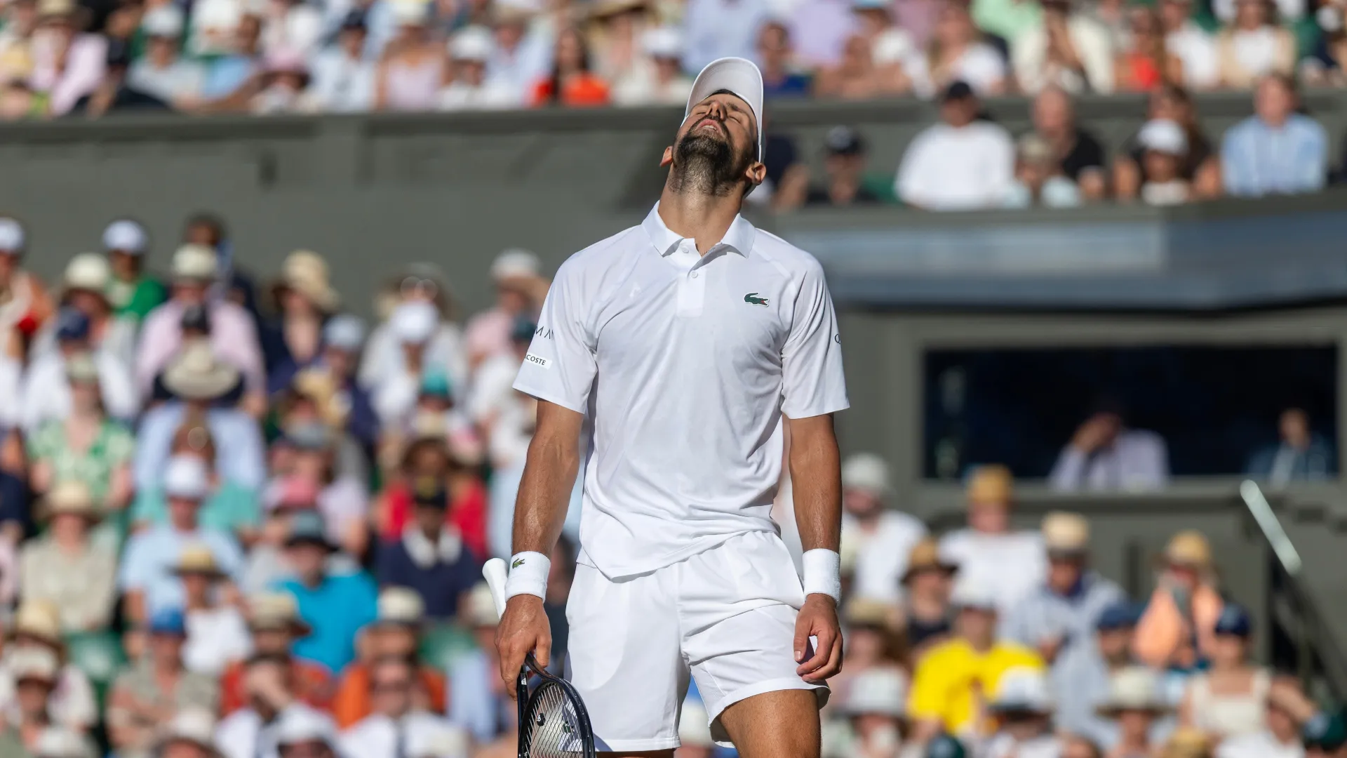 novak-djokovic_14rholsa9k0101qxstmqmmbnek.png