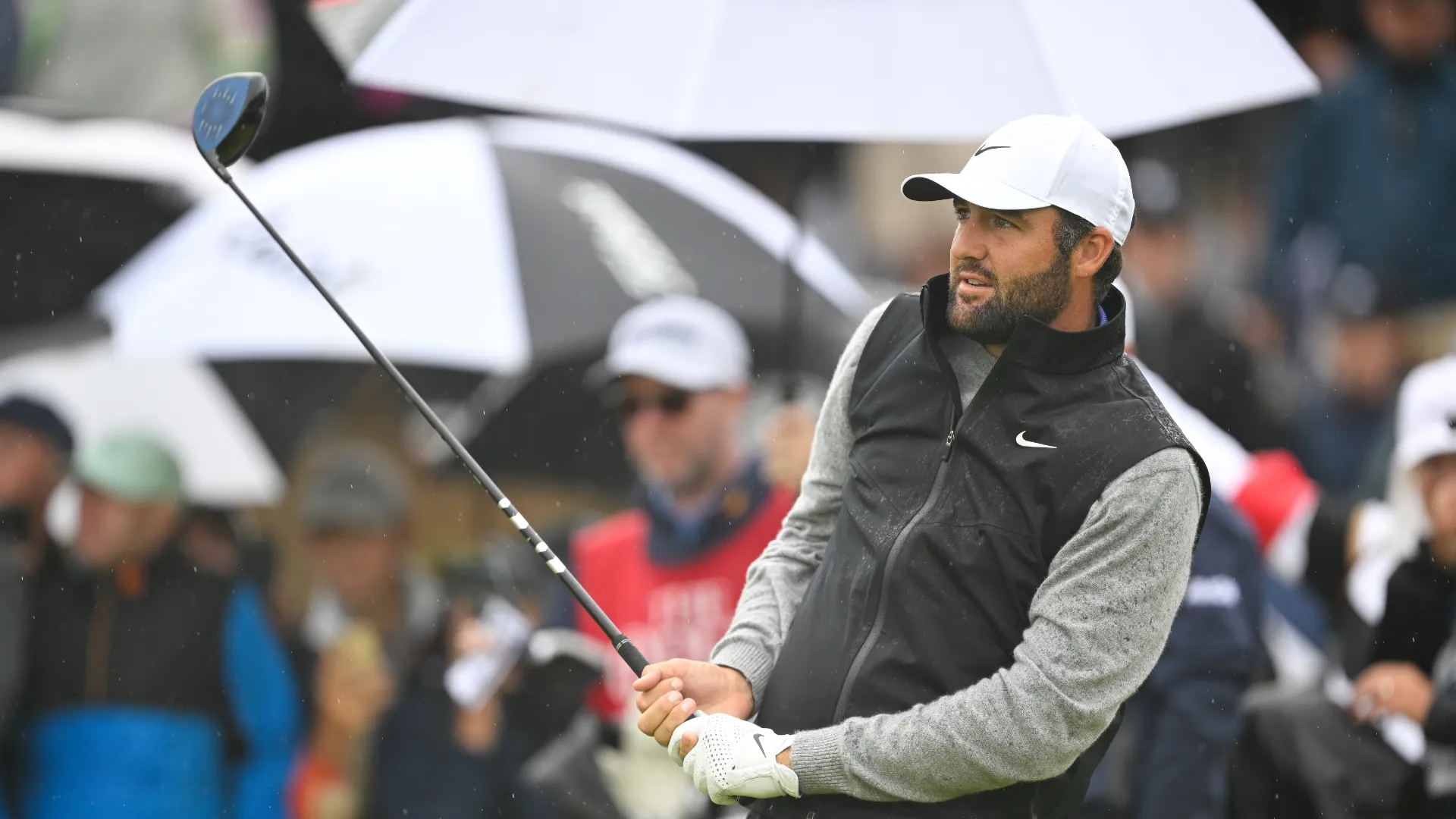 scotties-scheffler_1kfbf2bg5xar51cww9zv9ushy5.png