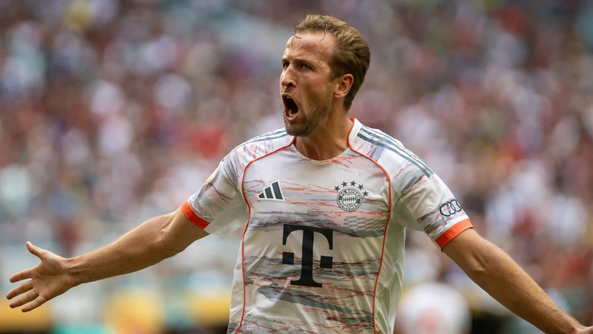 kane_11frrdc6x7z7m10lwrs8s9fsl8.jpg