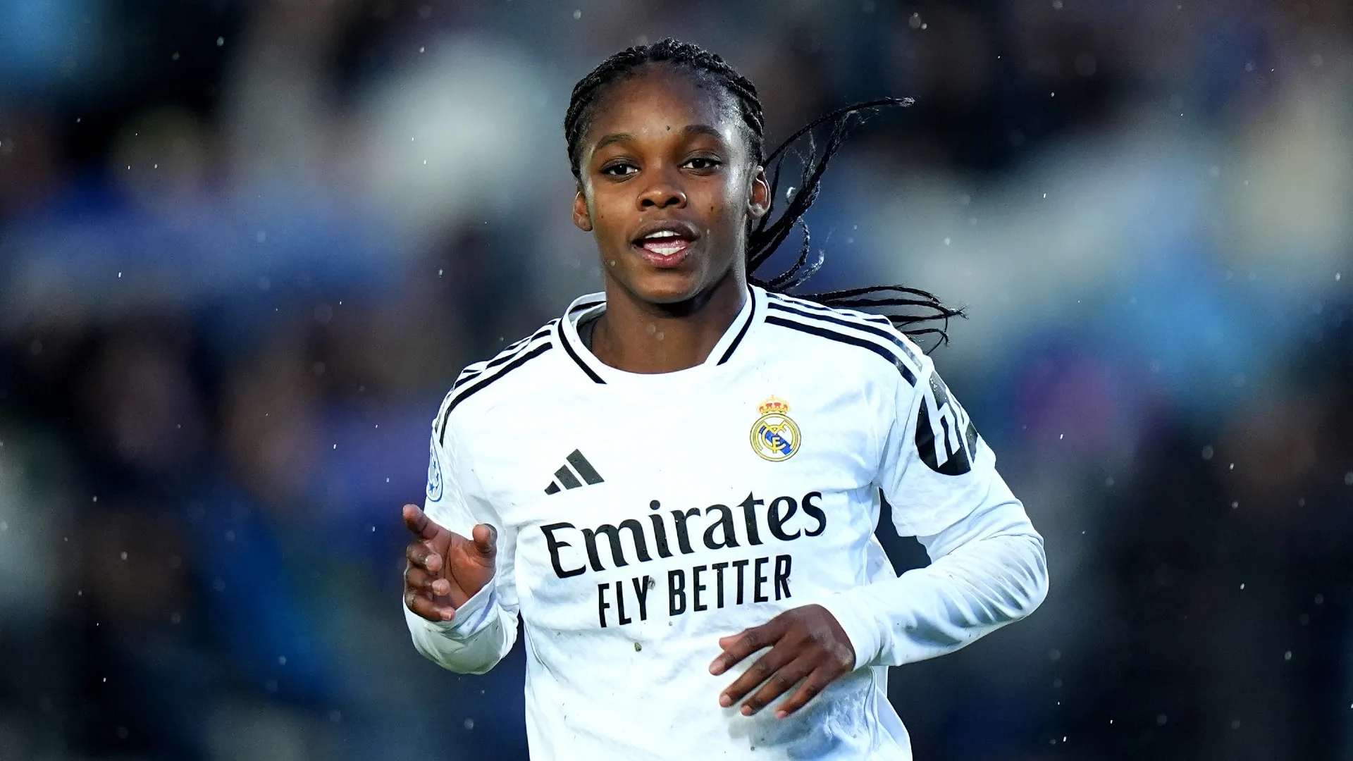 caicedo_1q4zp03g1j6qf180n7xpt99hax.jpg