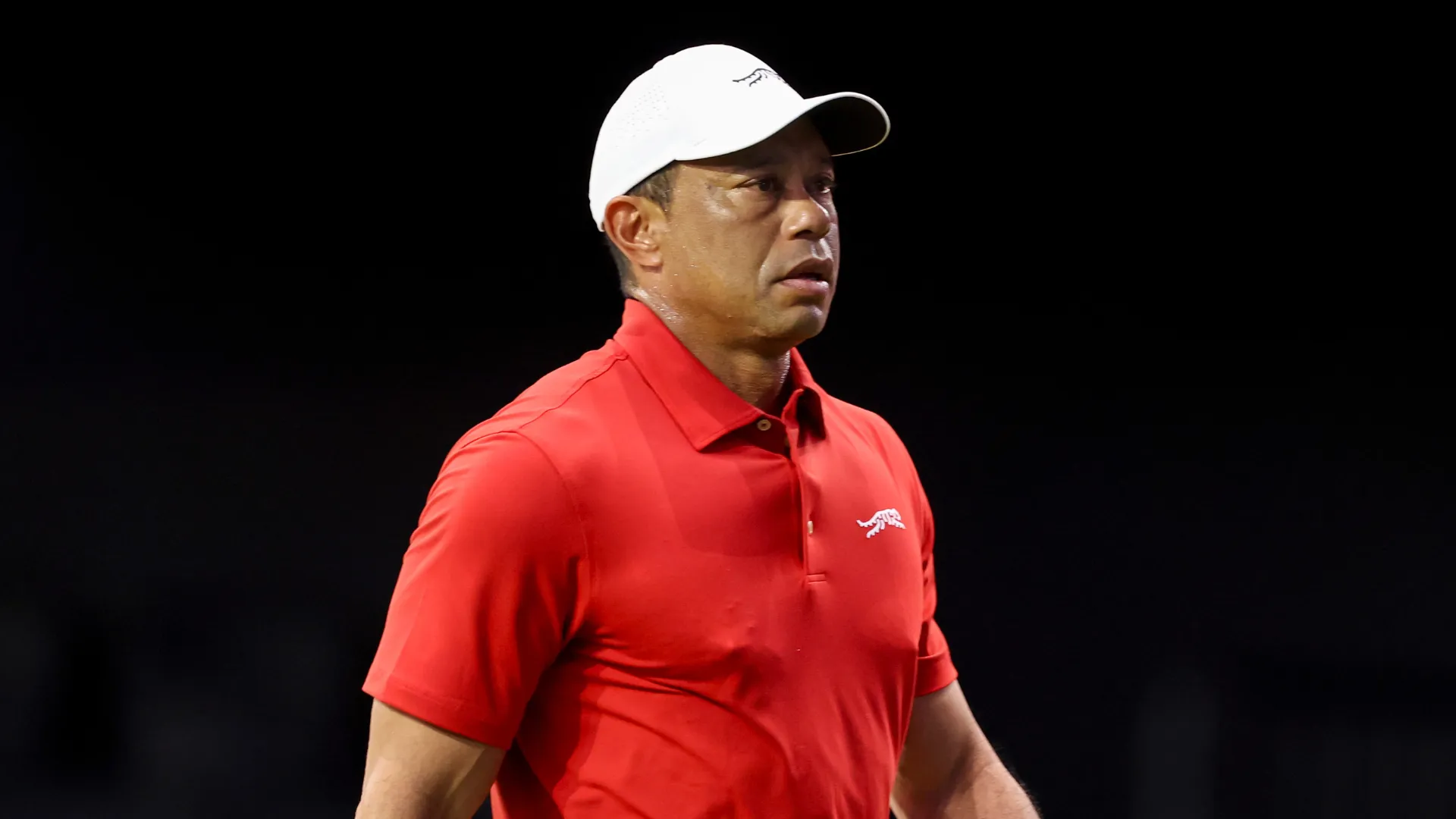 tiger-woods_1mhi9yh1e4klp122fb51fzwds7.png