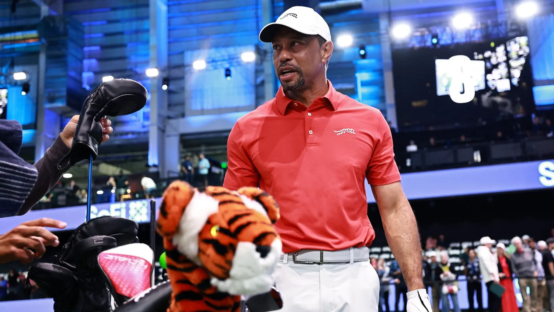 tiger-woods_mp5a6f9nlwfj1dajeo4x6bt9l.jpg