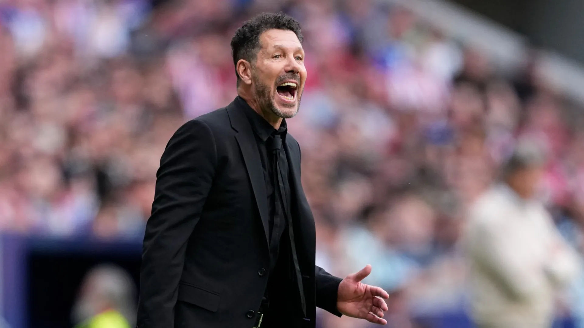 simeone_15cqwyrl9p8st19g7un2nntmf3.jpg