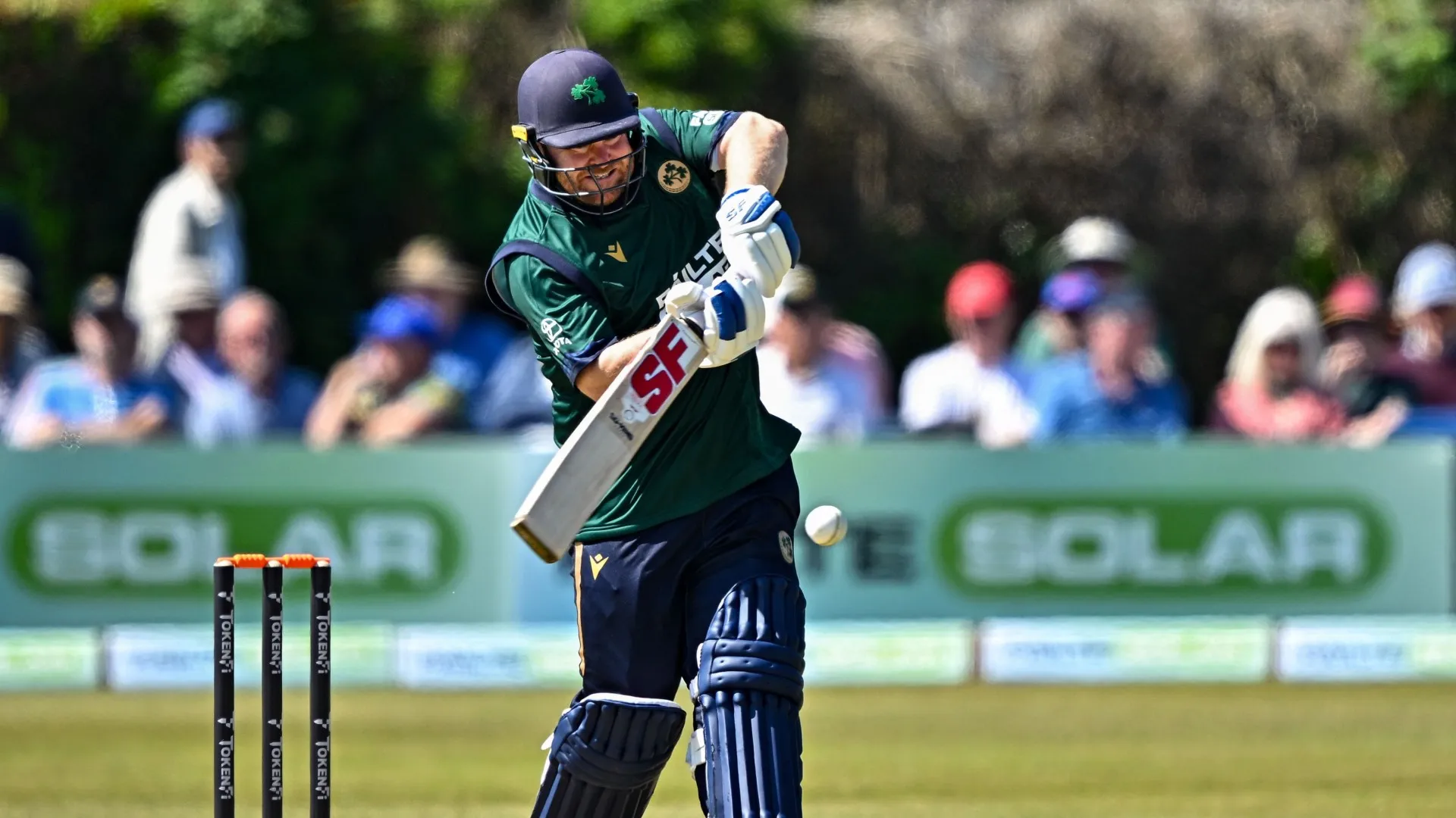 stirling_d7qmutjk5lb1dzr1z437uvm3.jpg