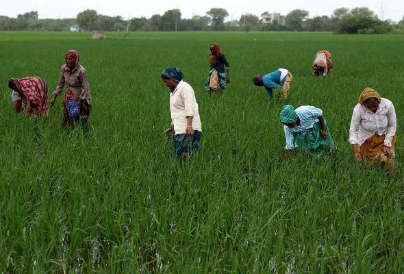 71754044618_Ahmedabadfarmers.jpg