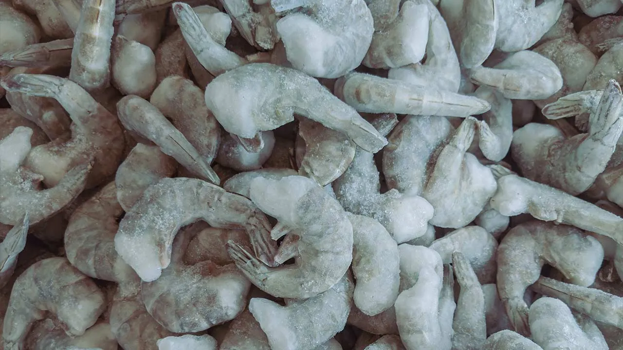 51755859928_Frozenshrimp.jpg