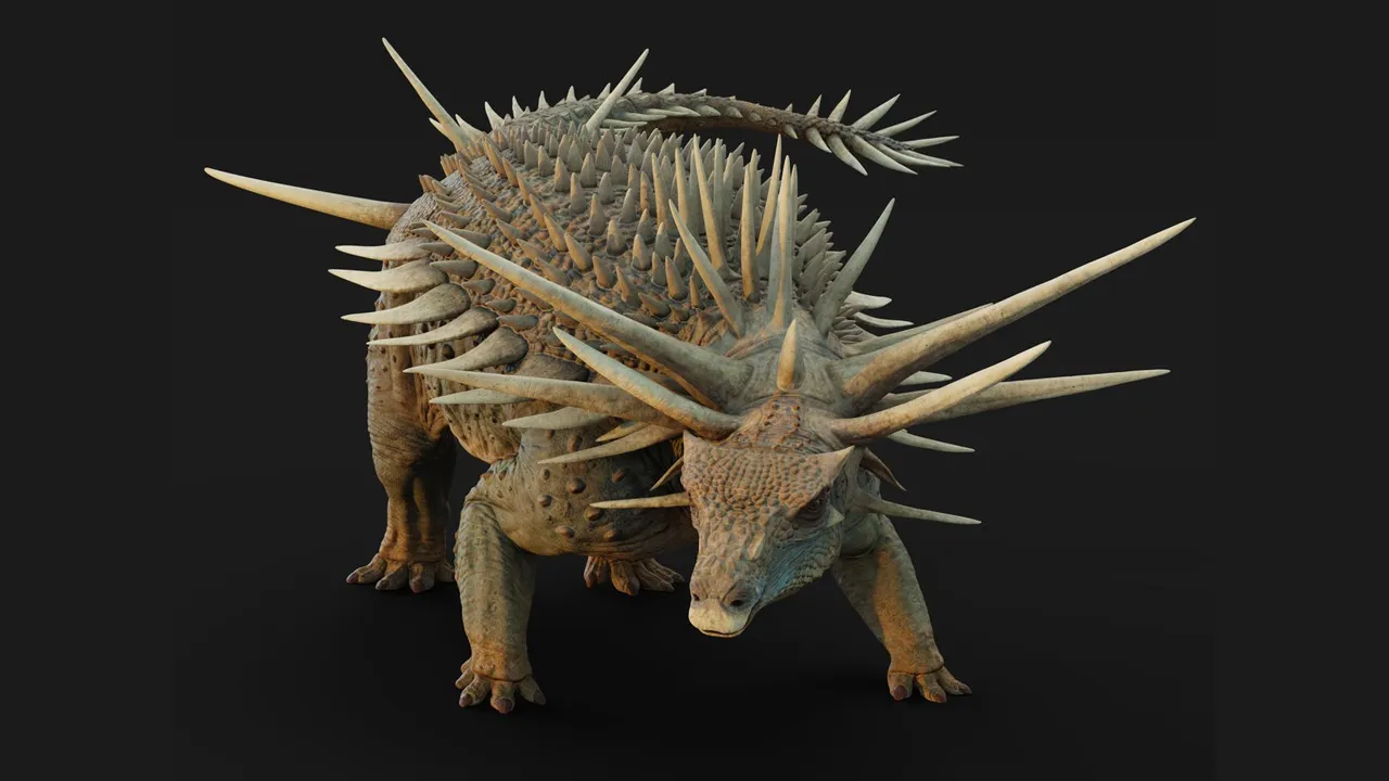 51756332742_Spicomellus.jpg