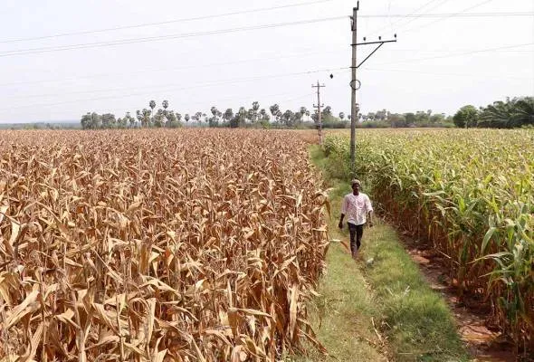 51751614680_AndhraPradeshIndi.jpg