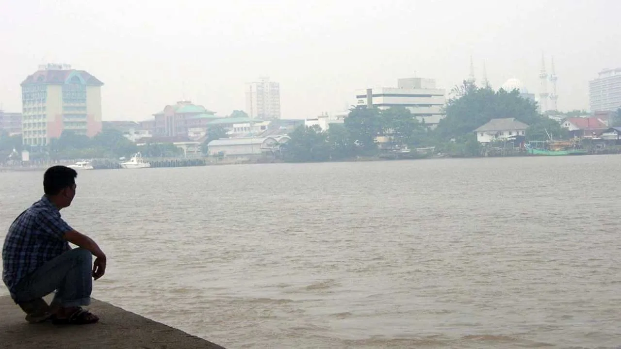 71753113172_JerebuPekan.jpg