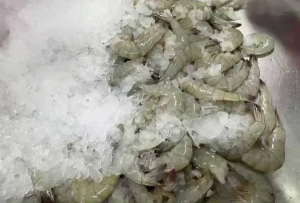 61749809607_SHRIMP.jpg