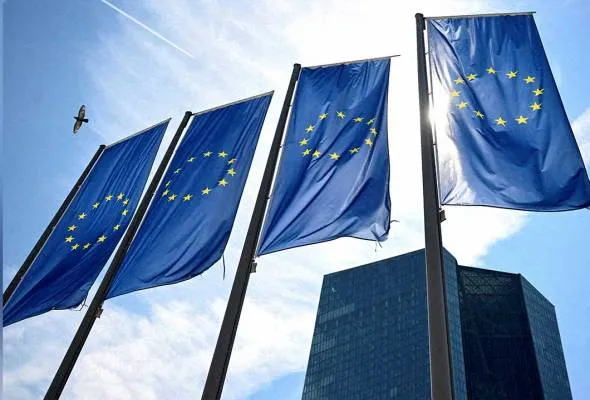51750938151_tbEUflags.jpg
