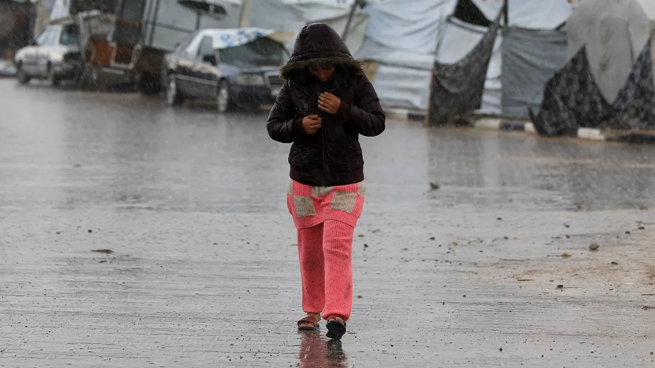 81763251807_Palestinian.jpg