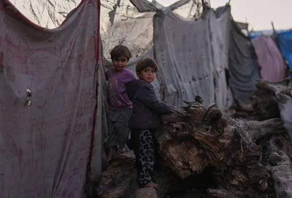 51763521762_Palestinian.jpg