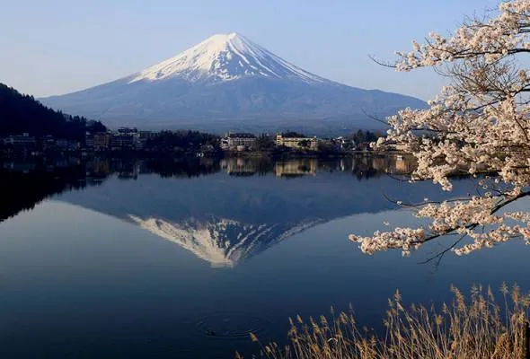 61731897616_MountFuji.jpg