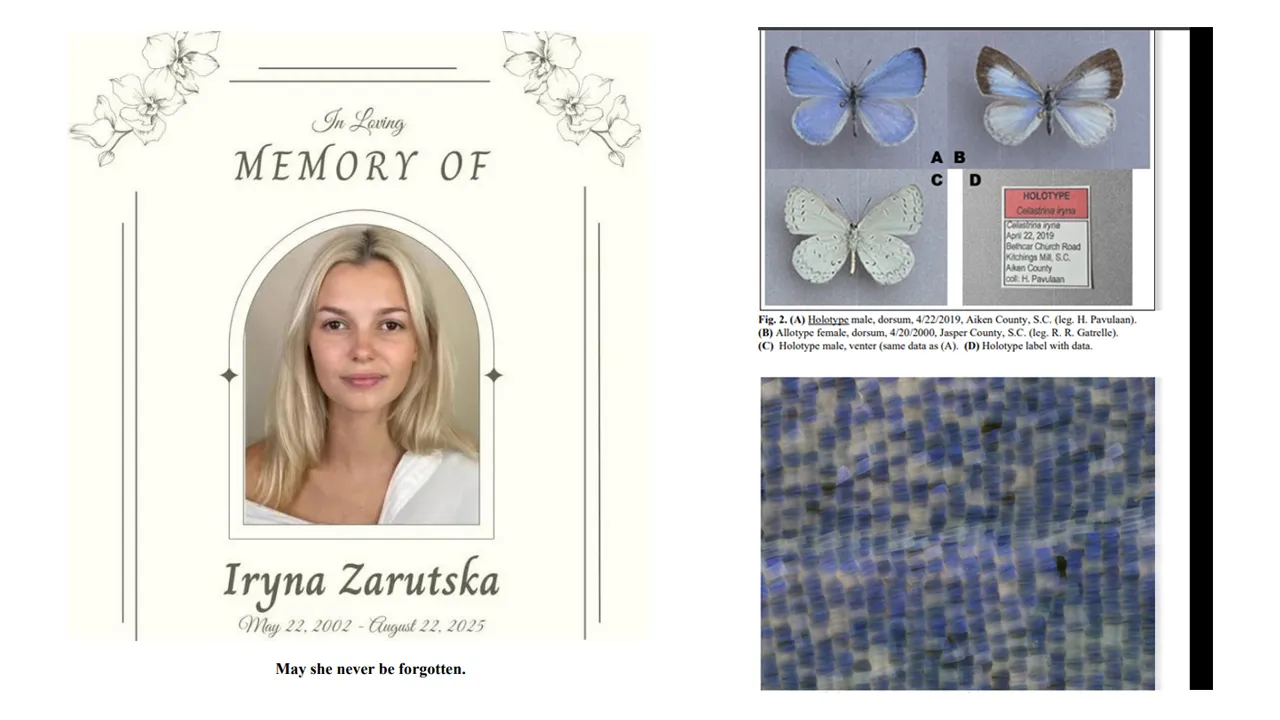 41761364118_IrynaZarutska.jpg