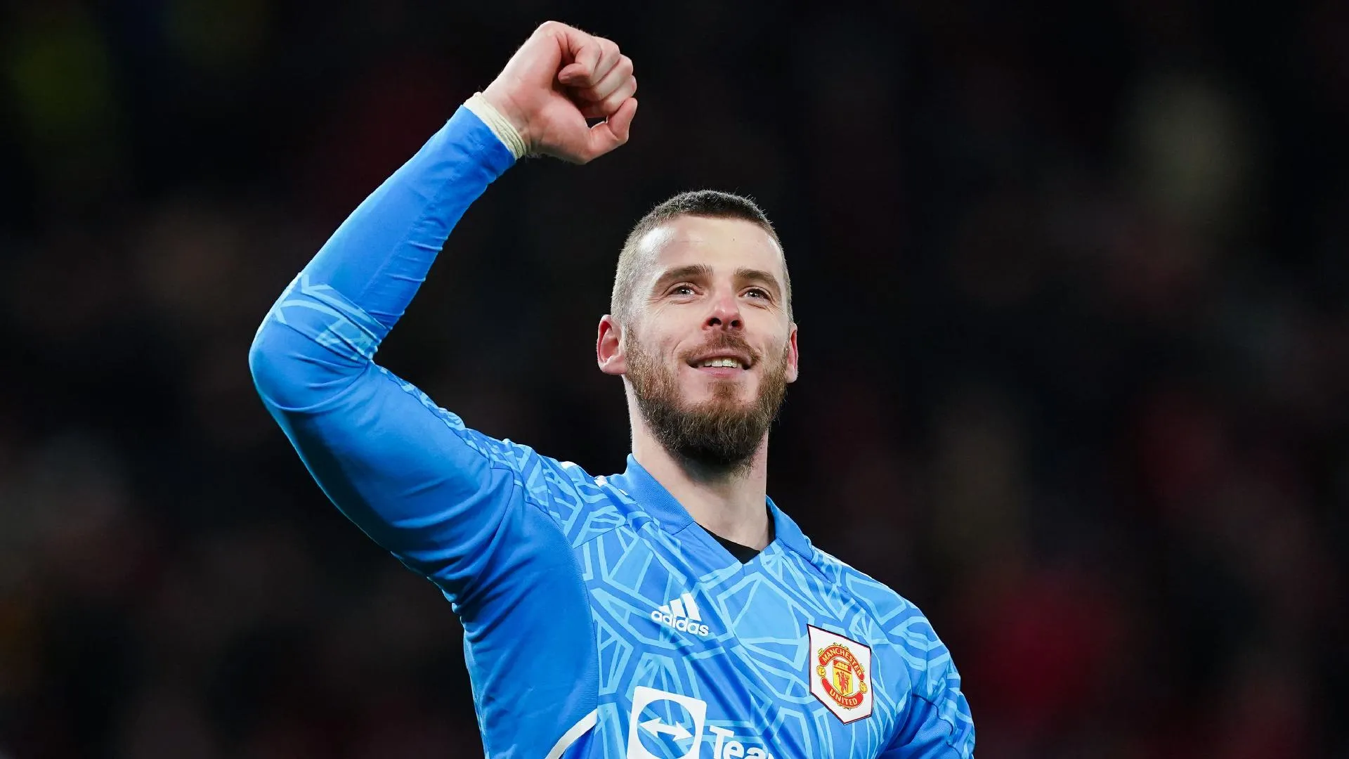 david-de-gea.jpg
