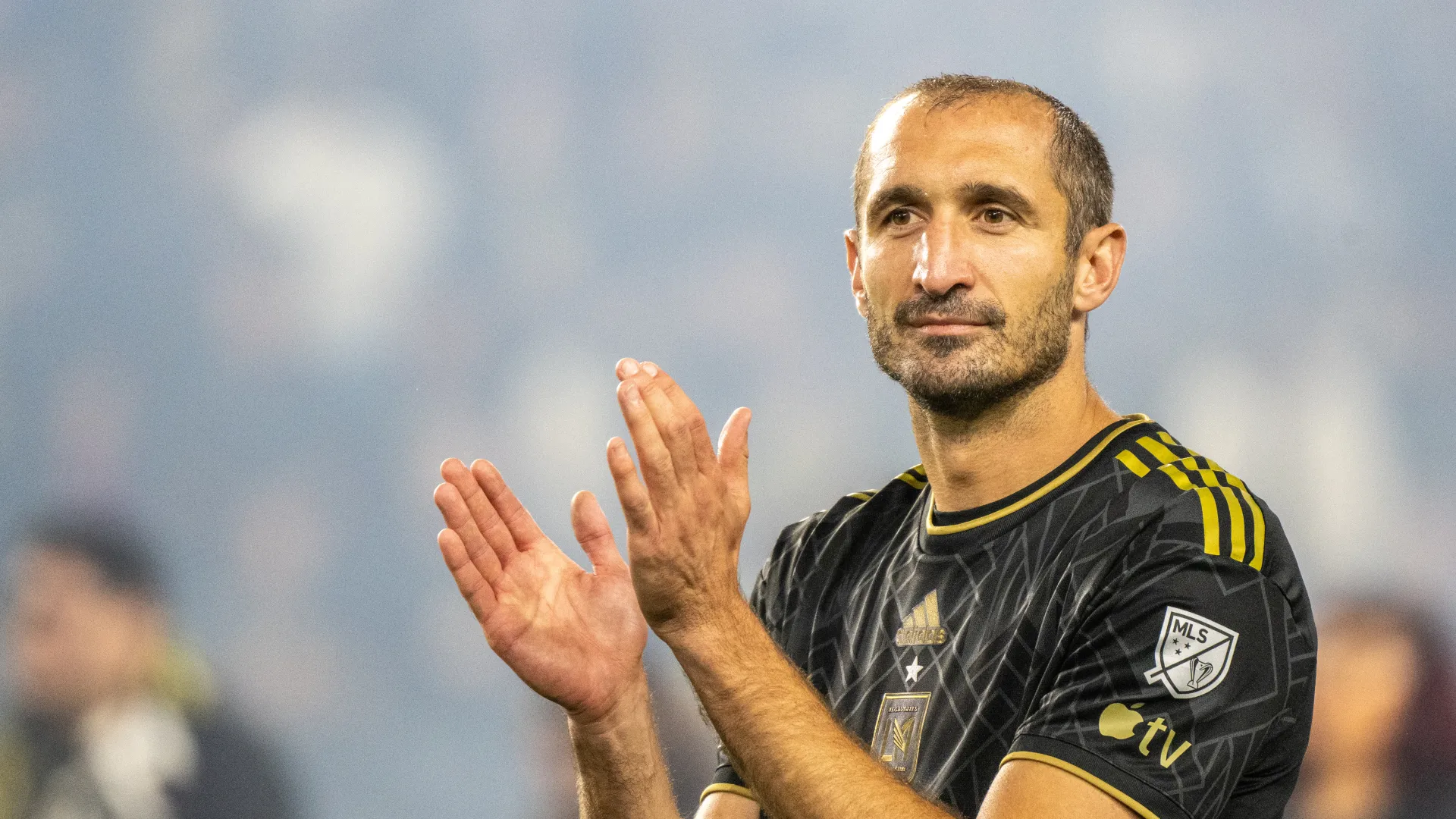 giorgio-chiellini_k5fuxkkcxhzb1wpfxc73bgkon.jpg