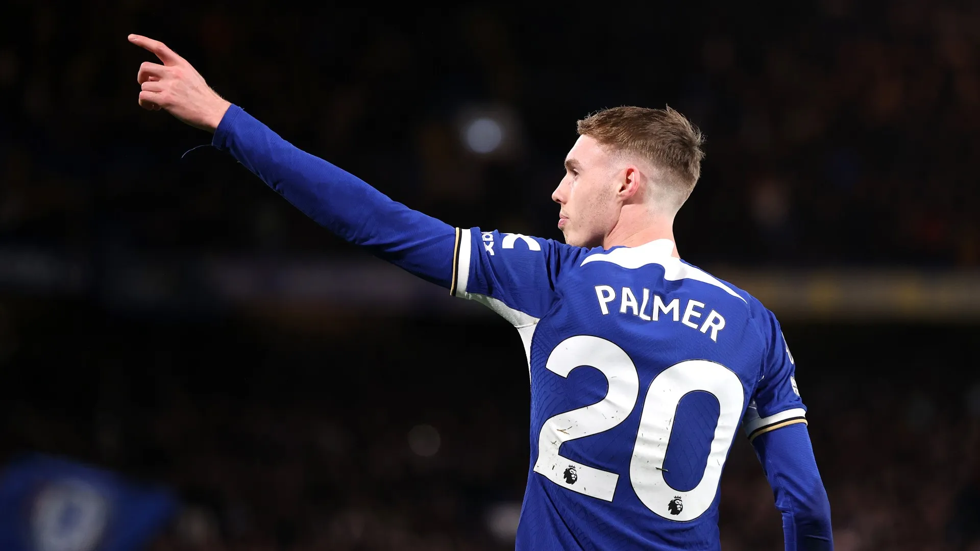 palmer_82bovakekpdsz7pj2d5bsxkh.jpg