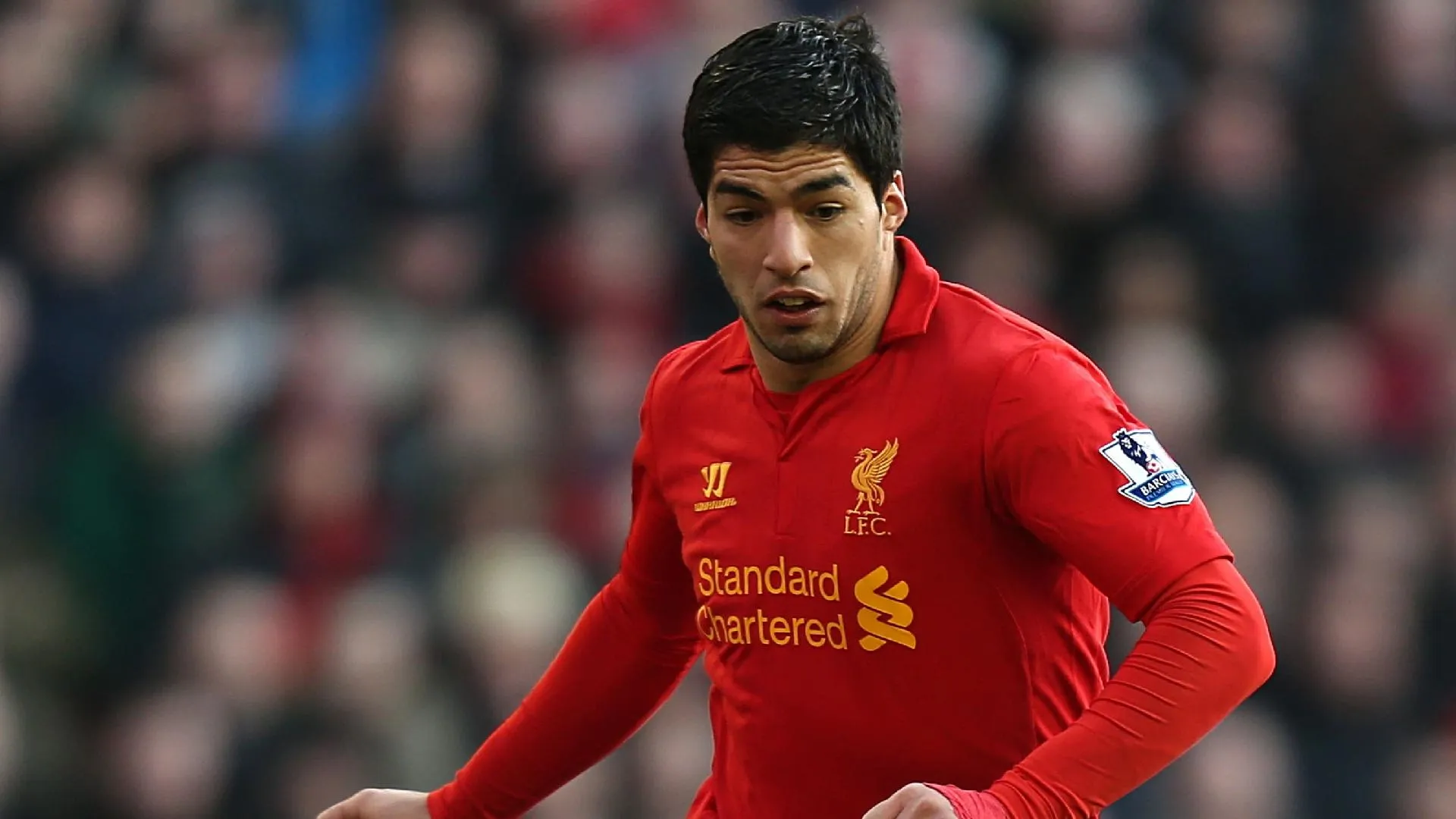 suarez.jpg